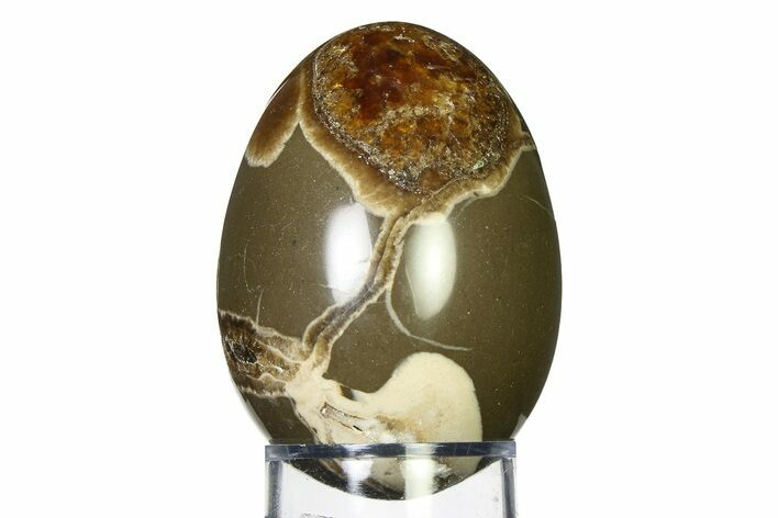 Polished Septarian Nodule Egg - Morocco #322336